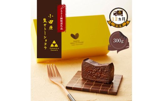 [定期便12ヶ月]幸せの生ガトーショコラ 300g[チョコレート 特濃厚 濃密な味わい 極上の口溶け 極上のチョコレート 一流の料理人 チョコレート本来の味わいと甘み カカオの風味やコク カカオ 至極の逸品 神奈川県 小田原市 ] 142069