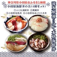 【曽我の梅干し、小田原地あじ、小田原港直送地魚丼】小田原海鮮丼の具（4種セット）【ふじ丸海鮮丼 小田原地魚丼 小田原地あじたたき丼 国産活〆真鯛入り酒仕込み 流水解凍５分で海鮮丼 海鮮丼セット 神奈川県 小田原市 】 142069_DX001
