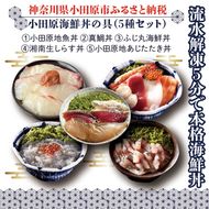 【曽我の梅干し、小田原地あじ、小田原港直送地魚丼、大磯港直送湘南生しらす】小田原海鮮丼の具（5種セット）【ふじ丸海鮮丼 湘南生シラス丼 小田原地魚丼 小田原地あじたたき丼 国産活〆真鯛丼 神奈川県 小田原市 】 142069_DX002