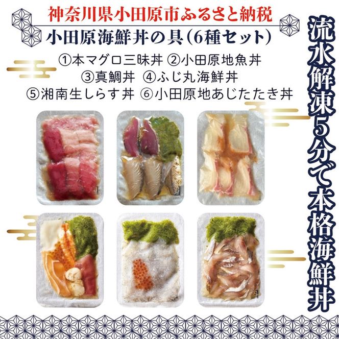 【高級食材本マグロ、曽我の梅干し、小田原地あじ、小田原港直送地魚丼、大磯港直送、湘南生しらす】小田原海鮮丼の具（6種セット）【本まぐろ丼 小田原地魚丼 小田原地あじたたき丼 国産活〆真鯛入り酒仕込み 神奈川県 小田原市 】 142069_DX003