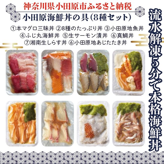 【高級食材本マグロ、曽我の梅干し、小田原地あじ、小田原港直送地魚丼、大磯港直送、湘南生しらす】小田原海鮮丼の具（8種セット）【本まぐろ丼 小田原地魚丼 小田原地あじたたき丼 国産活〆真鯛入り酒仕込み 神奈川県 小田原市 】 142069_DX004