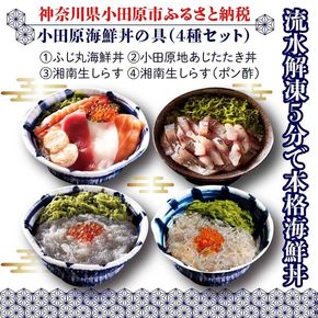 小田原海鮮丼の具（4種セット）｜魚介 海鮮丼 食べ比べ 人気 おすすめ 刺身 丼ぶり 冷凍 簡単調理 小分け セット 魚介類 ご飯のお供 おすすめ 人気 送料無料 神奈川県 小田原市 142069_DX005