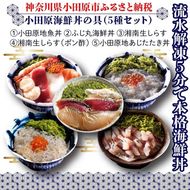 小田原地魚海鮮丼の具（5種セット） 142069_DX006