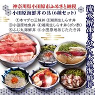 小田原地魚＆本まぐろ海鮮丼の具（6種セット） 142069_DX007