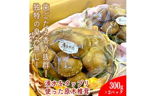 y_ސ쌧cszc̗RŗNґɎgĈĂؐő(300g×2pbN)y ̂ LmR  VC^P  p ƒ ؍͔|  _ސ쌧 cs z 142069_EZ001