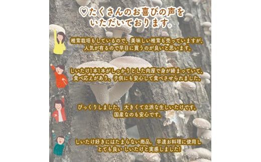 ご飯のお供に贅沢セットB。おかず４種レギュラーセット【家庭用 自宅用 贈答品 贈答用 ギフト お取り寄せ お中元 お歳暮 贈り物 お祝い 神奈川県 小田原市 】 142069_EZ004