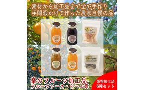 峯フルーツセット 計6種類 手づくりジャムソース4種 ドライフルーツ2種 【 家庭用 自宅用 贈答品 贈答用 ギフト お取り寄せ お中元 お歳暮 贈り物 お祝い 神奈川県 小田原市 】 142069_EZ009