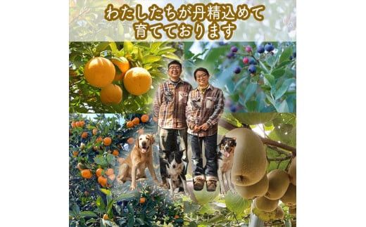 峯フルーツセット 計6種類 手づくりジャムソース4種 ドライフルーツ2種 【 家庭用 自宅用 贈答品 贈答用 ギフト お取り寄せ お中元 お歳暮 贈り物 お祝い 神奈川県 小田原市 】 142069_EZ009