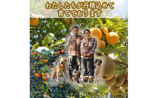 手づくりジャムソース 8本セット 手作りみかん キウイ あまなつ ブルーベリー 125ml 詰め合わせ ギフト 【 家庭用 自宅用 贈答品 贈答用 ギフト お取り寄せ お中元 お歳暮 贈り物 お祝い 神奈川県 小田原市 】 142069_EZ012