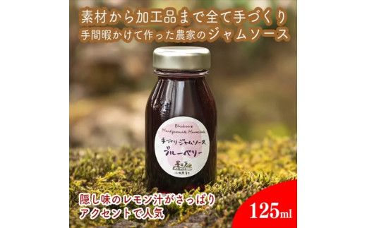 手づくりジャムソース 8本セット 手作りみかん キウイ あまなつ ブルーベリー 125ml 詰め合わせ ギフト 【 家庭用 自宅用 贈答品 贈答用 ギフト お取り寄せ お中元 お歳暮 贈り物 お祝い 神奈川県 小田原市 】 142069_EZ012