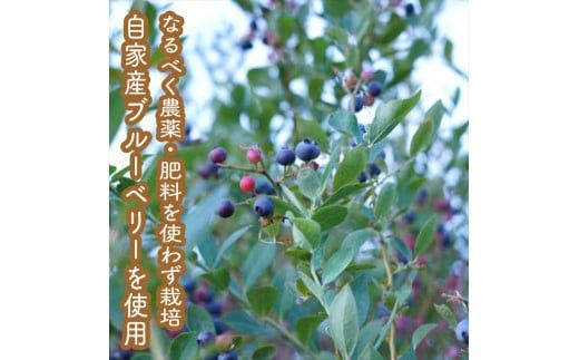 手づくりジャムソース 8本セット 手作りみかん キウイ あまなつ ブルーベリー 125ml 詰め合わせ ギフト 【 家庭用 自宅用 贈答品 贈答用 ギフト お取り寄せ お中元 お歳暮 贈り物 お祝い 神奈川県 小田原市 】 142069_EZ012