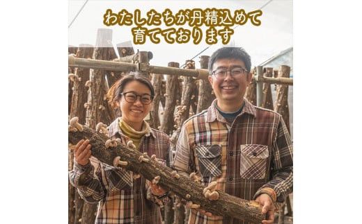 ご飯のお供に。おかず３種レギュラーセット【 家庭用 自宅用 贈答品 贈答用 ギフト お取り寄せ お中元 お歳暮 贈り物 お祝い 神奈川県 小田原市 】 142069_EZ013