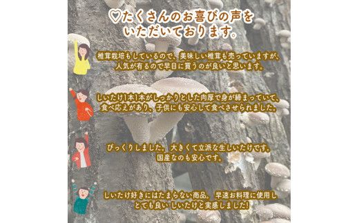 ご飯のお供に。おかず３種レギュラーセット【 家庭用 自宅用 贈答品 贈答用 ギフト お取り寄せ お中元 お歳暮 贈り物 お祝い 神奈川県 小田原市 】 142069_EZ013