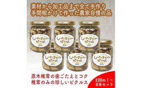 しいたけだけのピクルス 6個セット【 家庭用 自宅用 贈答品 贈答用 ギフト お取り寄せ お中元 お歳暮 贈り物 お祝い 神奈川県 小田原市 】 142069_EZ016