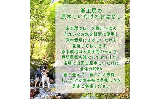 スイスで加工品を学んだ農家が手間暇かけて手づくりした『しいたけとたまねぎのなんでもソース』≪お得サイズ≫9本セット【 家庭用 自宅用 贈答品 贈答用 ギフト お取り寄せ お中元 お歳暮 贈り物 お祝い 神奈川県 小田原市 】 142069_EZ020