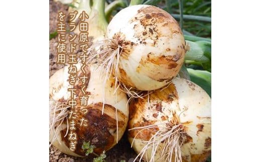 スイスで加工品を学んだ農家が手間暇かけて手づくりした『しいたけとたまねぎのなんでもソース』≪お得サイズ≫18本セット【 家庭用 自宅用 贈答品 贈答用 ギフト お取り寄せ お中元 お歳暮 贈り物 お祝い 神奈川県 小田原市 】 142069_EZ021