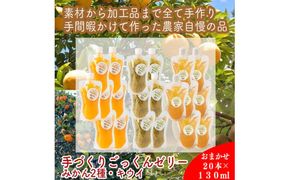 スイスで加工品を学んだ農家が作った『手づくりごっくんゼリー』 おまかせ20本セット 130ml みかん 甘夏 キウイ【 家庭用 自宅用 贈答品 贈答用 ギフト お取り寄せ お中元 お歳暮 贈り物 お祝い 神奈川県 小田原市 】 142069_EZ026
