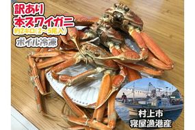【数量・期間限定】【訳あり】新潟県村上市寝屋漁港産　本ズワイガニ　約2kg（2～6尾入） 1079001