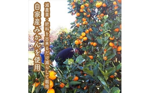 スイスで加工品を学んだ農家が作った『手づくりごっくんゼリー』 おまかせ20本セット 130ml みかん 甘夏 キウイ【 家庭用 自宅用 贈答品 贈答用 ギフト お取り寄せ お中元 お歳暮 贈り物 お祝い 神奈川県 小田原市 】 142069_EZ026