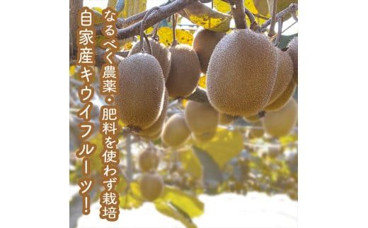 スイスで加工品を学んだ農家が作った『手づくりごっくんゼリー』 おまかせ20本セット 130ml みかん 甘夏 キウイ【 家庭用 自宅用 贈答品 贈答用 ギフト お取り寄せ お中元 お歳暮 贈り物 お祝い 神奈川県 小田原市 】 142069_EZ026