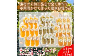 スイスで加工品を学んだ農家が作った手づくりごっくんゼリー おまかせ30本セット 130ml みかん 甘夏 キウイ【 家庭用 自宅用 贈答品 贈答用 ギフト お取り寄せ お中元 お歳暮 贈り物 お祝い 神奈川県 小田原市 】 142069_EZ027