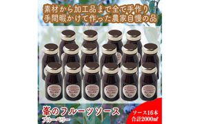 スイスで加工品を学んだ農家が手間暇かけた『手づくりジャムソース【ブルーベリー】』16本セット【 家庭用 自宅用 贈答品 贈答用 ギフト お取り寄せ お中元 お歳暮 贈り物 お祝い 神奈川県 小田原市 】 142069_EZ031VC01