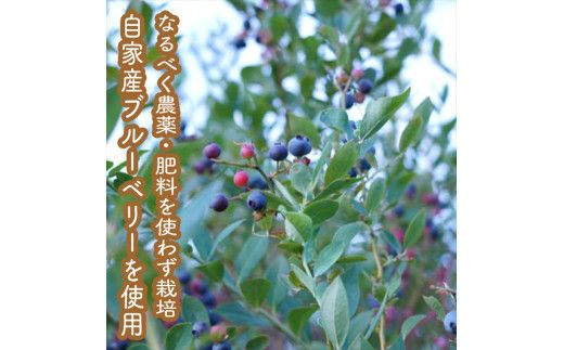 スイスで加工品を学んだ農家が手間暇かけた『手づくりジャムソース【ブルーベリー】』16本セット【 家庭用 自宅用 贈答品 贈答用 ギフト お取り寄せ お中元 お歳暮 贈り物 お祝い 神奈川県 小田原市 】 142069_EZ031VC01