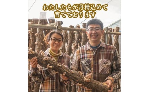 スイスで加工品を学んだ農家が手間暇かけた『手づくりジャムソース【ブルーベリー】』16本セット【 家庭用 自宅用 贈答品 贈答用 ギフト お取り寄せ お中元 お歳暮 贈り物 お祝い 神奈川県 小田原市 】 142069_EZ031VC01