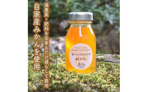 スイスで加工品を学んだ農家が手間暇かけた『手づくりジャムソース【みかん】』16本セット【 家庭用 自宅用 贈答品 贈答用 ギフト お取り寄せ お中元 お歳暮 贈り物 お祝い 神奈川県 小田原市 】 142069_EZ031VC04