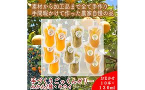 スイスで加工品を学んだ農家が作った『手づくりごっくんゼリー』 おまかせ10本セット 130ml みかん 甘夏 キウイ【 家庭用 自宅用 贈答品 贈答用 ギフト お取り寄せ お中元 お歳暮 贈り物 お祝い 神奈川県 小田原市 】 142069_EZ034