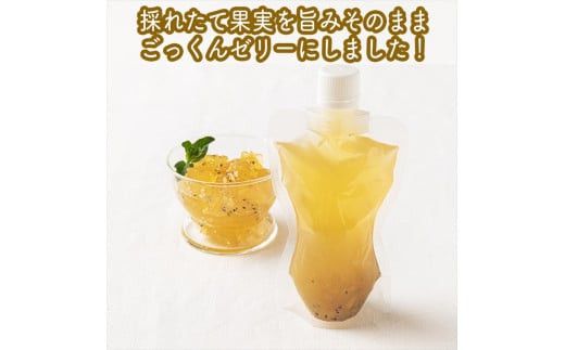 スイスで加工品を学んだ農家が作った『手づくりごっくんゼリー』 おまかせ10本セット 130ml みかん 甘夏 キウイ【 家庭用 自宅用 贈答品 贈答用 ギフト お取り寄せ お中元 お歳暮 贈り物 お祝い 神奈川県 小田原市 】 142069_EZ034