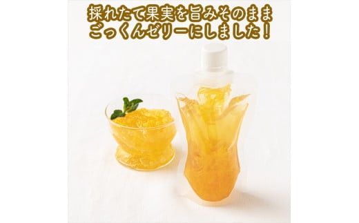 スイスで加工品を学んだ農家が作った『手づくりごっくんゼリー』 おまかせ10本セット 130ml みかん 甘夏 キウイ【 家庭用 自宅用 贈答品 贈答用 ギフト お取り寄せ お中元 お歳暮 贈り物 お祝い 神奈川県 小田原市 】 142069_EZ034