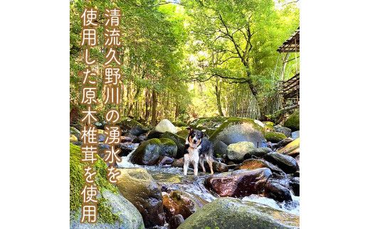 原木しいたけの 濃いお出汁≪レギュラーサイズ≫24本セット【 家庭用 自宅用 贈答品 贈答用 ギフト お取り寄せ お中元 お歳暮 贈り物 お祝い 神奈川県 小田原市 】 142069_EZ038