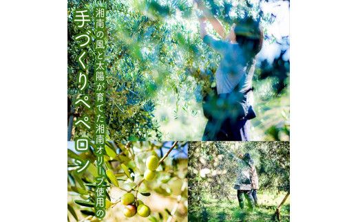 しいたけペペロン　24個セット【 家庭用 自宅用 贈答品 贈答用 ギフト お取り寄せ お中元 お歳暮 贈り物 お祝い 神奈川県 小田原市 】 142069_EZ042