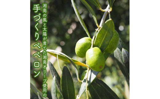 しいたけペペロン　24個セット【 家庭用 自宅用 贈答品 贈答用 ギフト お取り寄せ お中元 お歳暮 贈り物 お祝い 神奈川県 小田原市 】 142069_EZ042