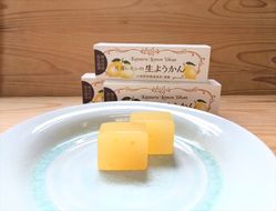 小田原老舗和菓子店の手づくり片浦レモンの生ようかん【和菓子店 手作りようかん 片浦レモンの生ようかん  職人の手作り 神奈川県指定銘菓 レモン 和スイーツ   神奈川県 小田原市 】 142069_FB001
