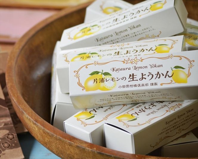 小田原老舗和菓子店の手づくり片浦レモンの生ようかん【和菓子店 手作りようかん 片浦レモンの生ようかん  職人の手作り 神奈川県指定銘菓 レモン 和スイーツ   神奈川県 小田原市 】 142069_FB001