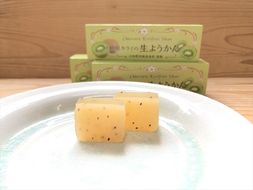 小田原老舗和菓子店の手づくり小田原キウイの生ようかん【和菓子店 手作りようかん 小田原キウイの生ようかん キウイフルーツ 職人の手作り 銘菓　自家製キウイジャム 神奈川県 小田原市 】 142069_FB002