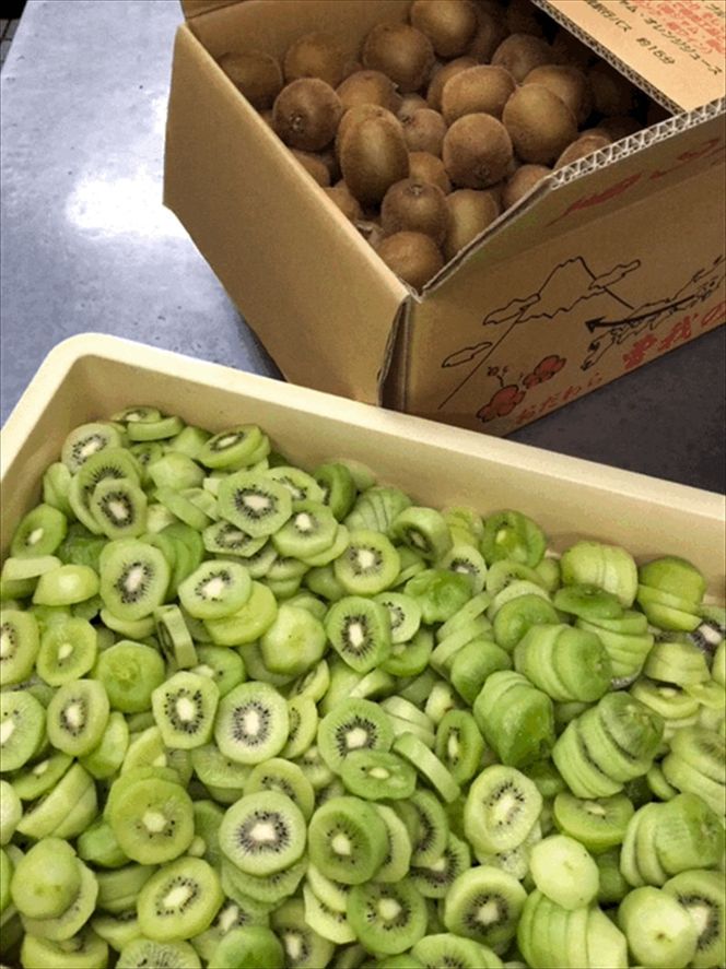 小田原老舗和菓子店の手づくり小田原キウイの生ようかん【和菓子店 手作りようかん 小田原キウイの生ようかん キウイフルーツ 職人の手作り 銘菓　自家製キウイジャム 神奈川県 小田原市 】 142069_FB002