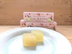 小田原老舗和菓子店の手づくり小田原梅の生ようかん【和菓子店 手作りようかん 小田原梅の生ようかん  職人の手作り 銘菓　梅 和スイーツ  神奈川県 小田原市 】 142069_FB003