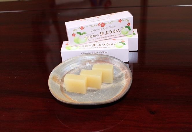 小田原老舗和菓子店の手づくり小田原梅の生ようかん【和菓子店 手作りようかん 小田原梅の生ようかん  職人の手作り 銘菓　梅 和スイーツ  神奈川県 小田原市 】 142069_FB003