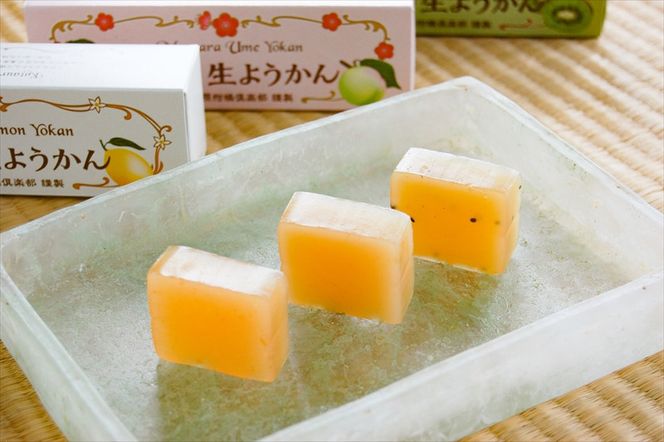 【さっぱりとした現代感覚のフルーツ生ようかんセット】（片浦レモン、小田原キウイ、ジンジャー入り小田原梅 各1本）創業昭和10年 小田原 伊勢屋【 和菓子店 ようかん 神奈川県指定銘菓 神奈川県 小田原市 】 142069_FB006