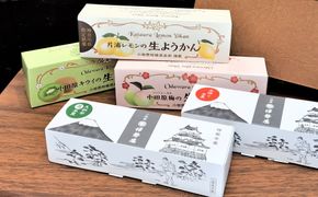 小田原老舗和菓子店の手づくりようかん5本セット【和菓子店　手づくりようかん5本セット レモンようかん　フルーツようかん 足柄茶ようかん 本練ようかん キウイようかん 梅ようかん 神奈川県指定銘菓 神奈川県 小田原市 】 142069_FB007
