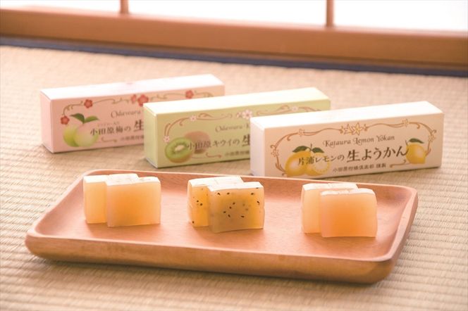 小田原老舗和菓子店の手づくりようかん5本セット【和菓子店　手づくりようかん5本セット レモンようかん　フルーツようかん 足柄茶ようかん 本練ようかん キウイようかん 梅ようかん 神奈川県指定銘菓 神奈川県 小田原市 】 142069_FB007
