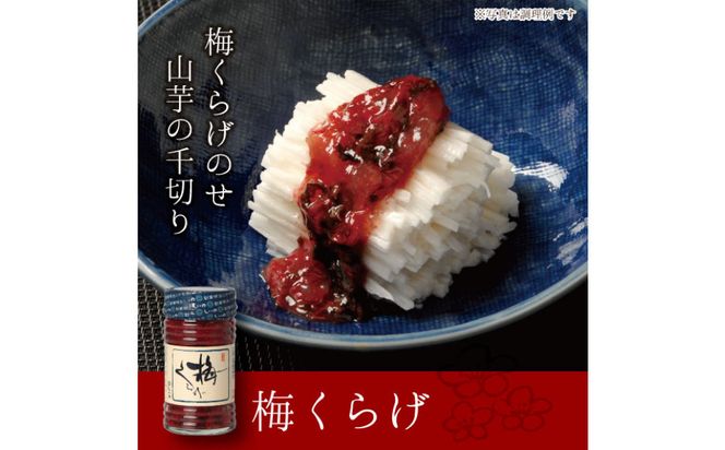 しいの食品　松五郎6本セット【家庭用 自宅用 贈答品 贈答用 ギフト ビール お取り寄せ 御中元 お中元 お歳暮 父の日 母の日 贈り物 日本酒 焼酎 神奈川県 小田原市 】 142069_FD006