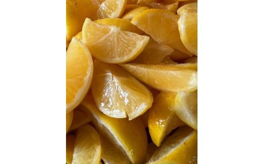 【手づくりあんこ】湘南ゴールドあん500g×1、黒ごまあん500g×1、栗あん500g×1、紫いもあん500g×1【 神奈川県 小田原市 】 142069_FP001