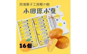 西湘菓子工房樫の樹　乳菓万頭小田原小夏16個入りギフト 【 お菓子 スイーツ 神奈川県 小田原市 】 142069_FT001
