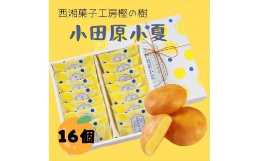 y_ސ쌧cszÉَqH[~̎@ٖc16Mtg y َq XC[c _ސ쌧 cs z 142069_FT001