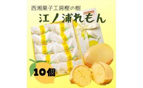 西湘菓子工房樫の樹　江ノ浦れもん10個入りギフト 【 お菓子 スイーツ 神奈川県 小田原市 】 142069_FT002