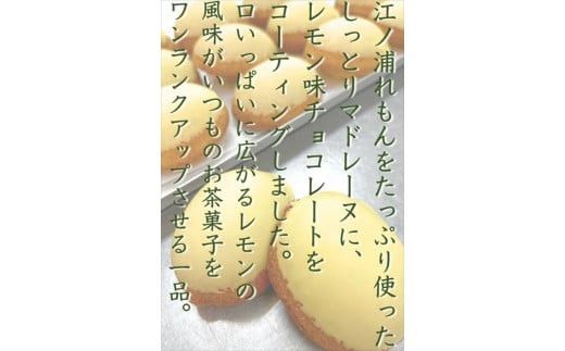 西湘菓子工房樫の樹　江ノ浦れもん10個入りギフト 【 お菓子 スイーツ 神奈川県 小田原市 】 142069_FT002